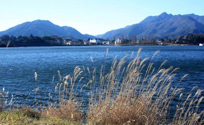 Kinh nghiệm du lịch nhật bản tháng 7 - Khung cảnh thiên nhiên quanh Hồ Kawaguchi.