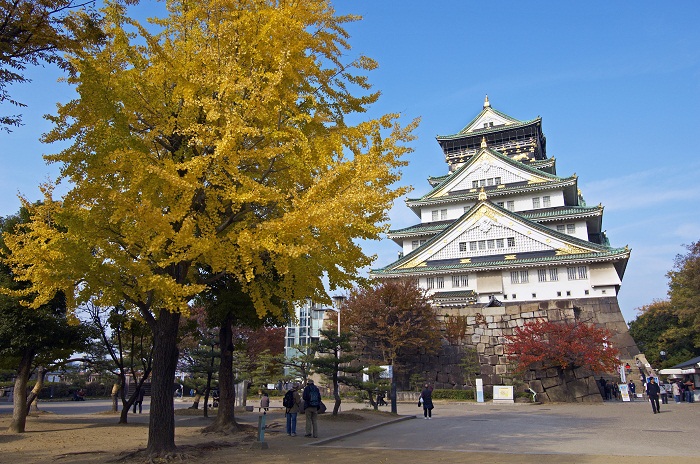 lâu đài du lịch Osaka