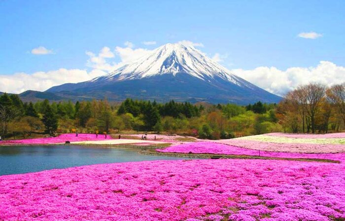 Du lịch Nhật Bản mùa thu - Nếu có cơ hội đến Nhật Bản đừng bỏ qua núi Phú Sĩ nhé