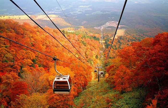 Du lịch Nhật Bản mùa thu - Ngoài núi Phú Sĩ thì núi Takao cũng là một trong những ngọn núi nổi tiếng ở Nhật Bản