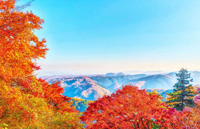 Du lịch Nhật Bản mùa thu - Núi Takao thường đông đúc vào cuối tuần do có nhiều khách đến tham quan