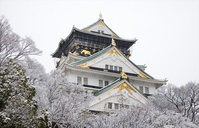 Kinh nghiệm du lịch Nhật Bản mùa đông - Bạn có thể chiêm ngưỡng tòa lâu đài Osaka vào mùa đông ấm áp