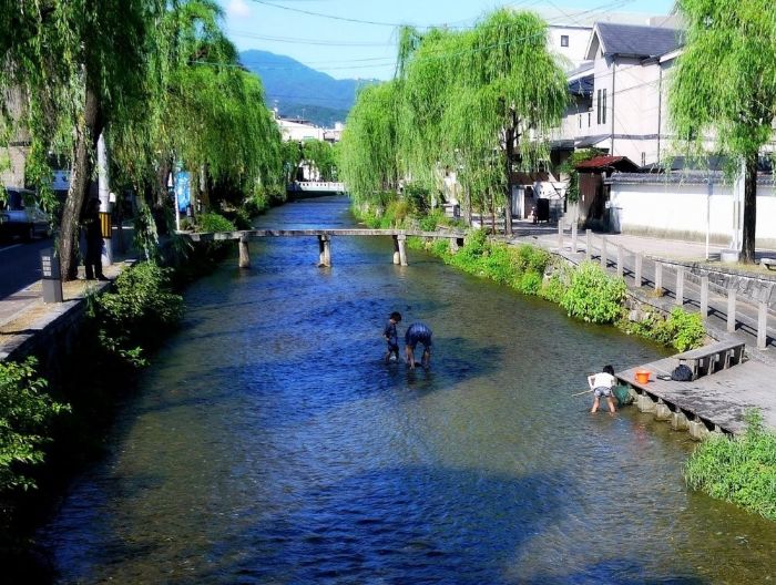 Chạy dọc kênh Shirakawa thơ mộng là hai hàng liễu rủ. tại phố cổ gion