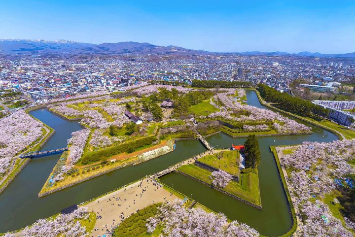 Du lịch Hokkaido mùa xuân nên chọn công viên Goryokaku để ngắm hoa anh đào