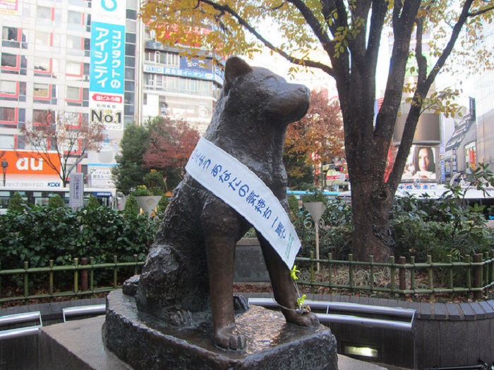 Shibuya Nhật Bản - Bức tượng Hachiko ở Shibuya