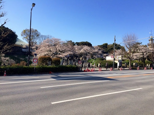 Chơi gì ở Tokyo - Khung cảnh Công viên Kitanomaru