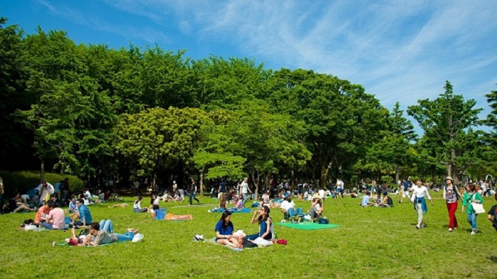 Chơi gì ở Tokyo - Công viên Yoyogi