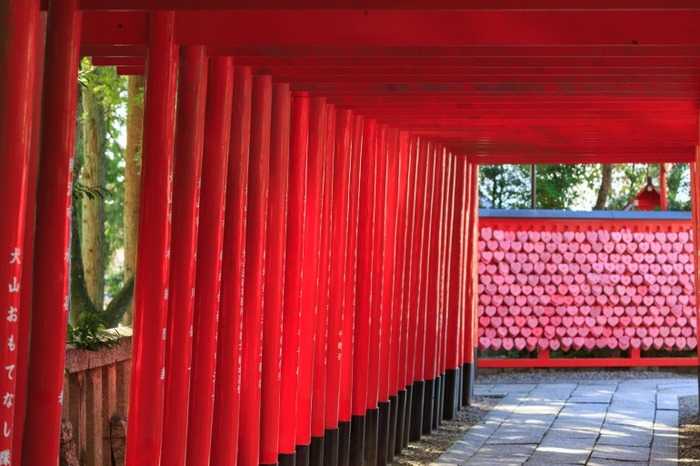 Địa điểm du lịch Aichi - Cổng vào được thiết kế độc đáo, ấn tượng