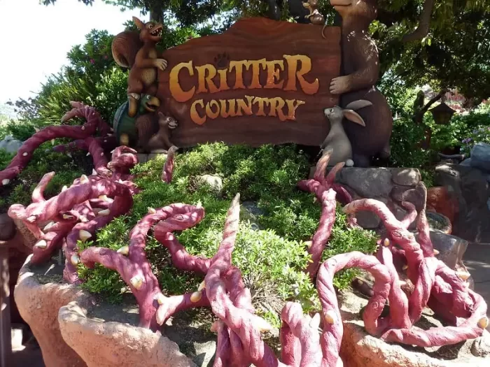 Disneyland Tokyo Nhật Bản - Trải nghiệm những trò chơi mạo hiểm tại Critter country