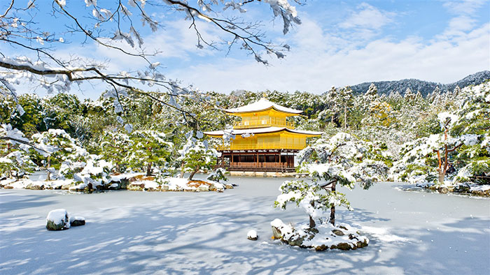 Du lịch Kyoto mùa đông - Chùa vàng vẫn giữ được vẻ lộng lẫy của nó ngay cả trong mùa đông