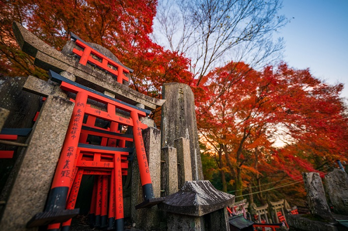 Du lịch kyoto mùa hè - Đền Fushimi Inari