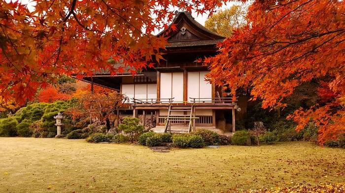 Du lịch Kyoto mùa lá đỏ - Một góc nhỏ tại Kitano Tenmangu