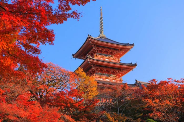 Du lịch Kyoto mùa lá đỏ - Du lịch Kyoto mùa lá đỏ tại Kiyomizu-dera