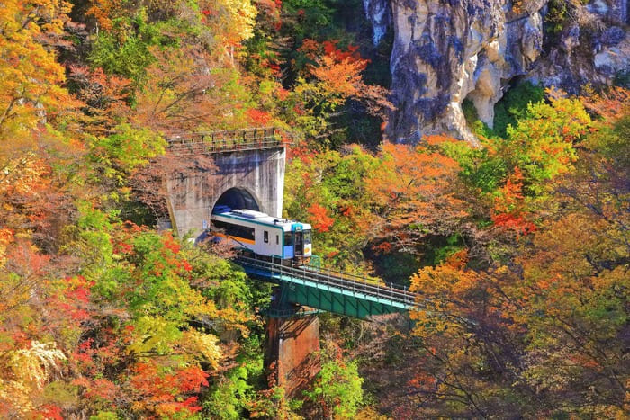 Du lịch Kyoto mùa lá đỏ - Vẻ đẹp bắt đầu vào thu của Kyoto, Nhật Bản