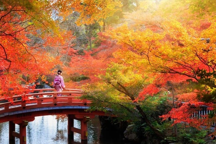 Du lịch Kyoto mùa lá đỏ - Vẻ đẹp mùa lá đỏ tại Kyoto qua lăng kính