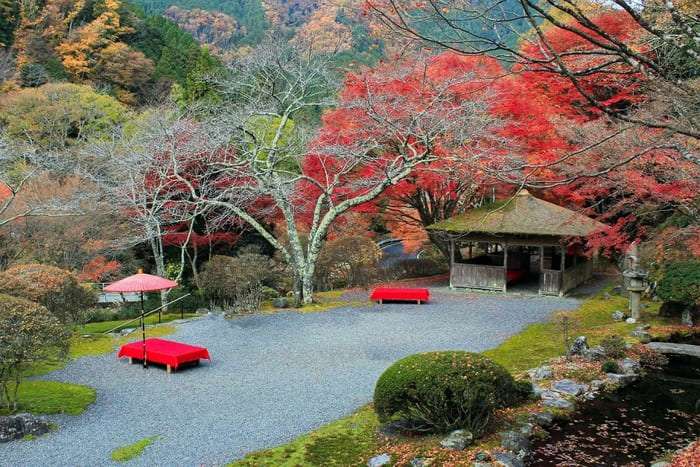 Du lịch Kyoto mùa lá đỏ - Vẻ đẹp Hakuryu-en vào mùa lá đỏ