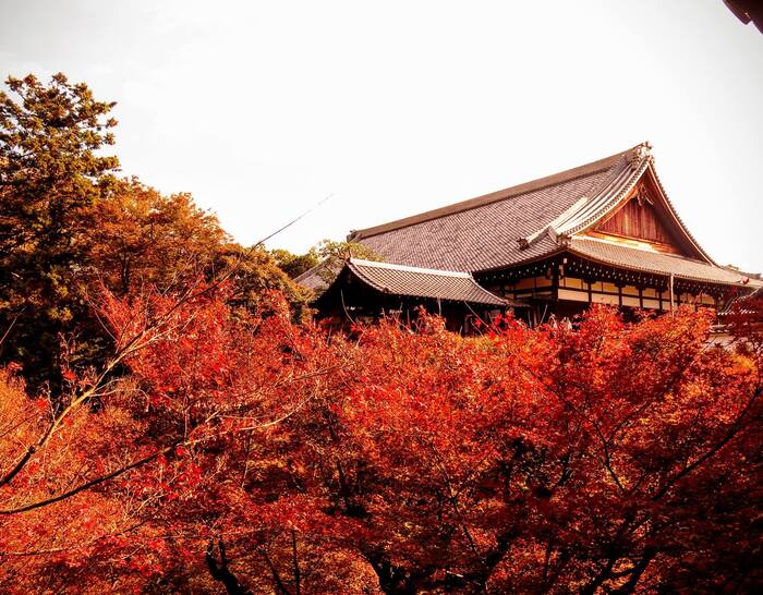 Du lịch Kyoto mùa lá đỏ - Chùa Tofuku