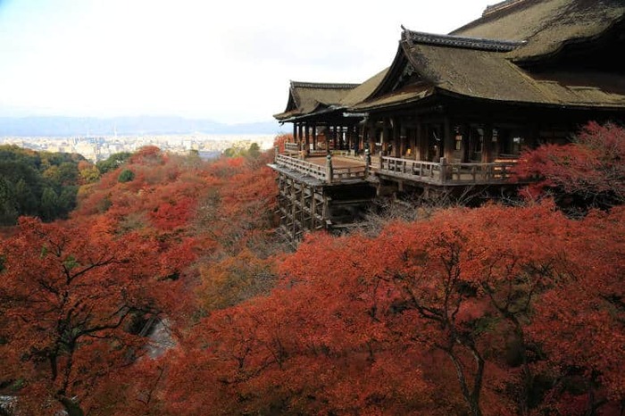 Du lịch Kyoto mùa lá đỏ - Chùa Chùa Ruriko-in rộng lớn với những cây lá đỏ yên bình