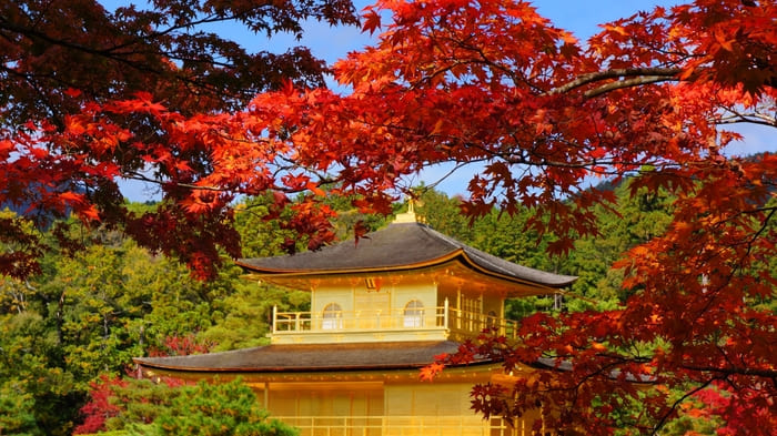 Du lịch Kyoto mùa lá đỏ - Chùa Kinkaku-ji khi vào thu