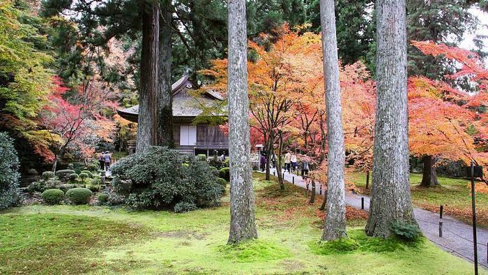 Du lịch Kyoto mùa thu - Đền Sanzen-in