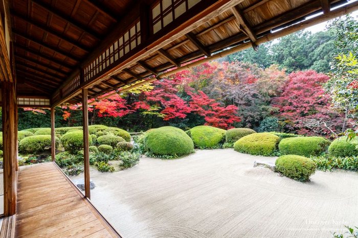 Du lịch Kyoto mùa thu - Đền Shisen-do