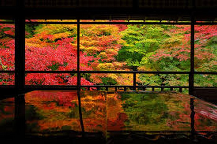 Du lịch Kyoto mùa thu - Đền Enkoji.