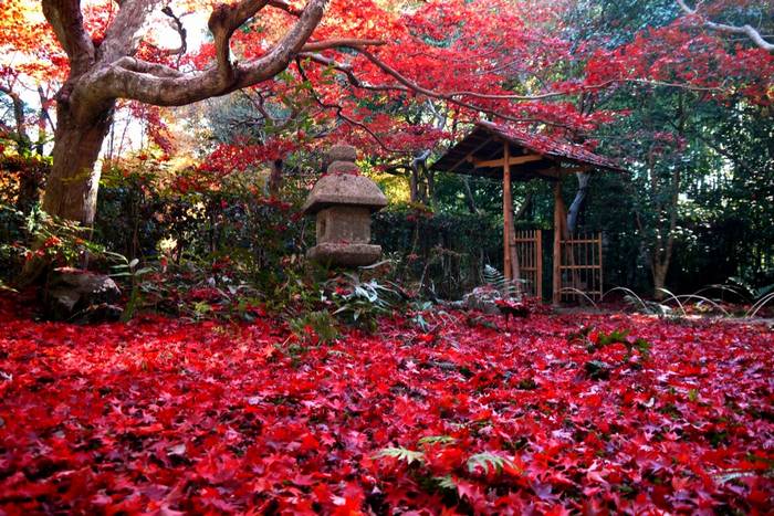 Du lịch Kyoto mùa thu - Đền Enrian.