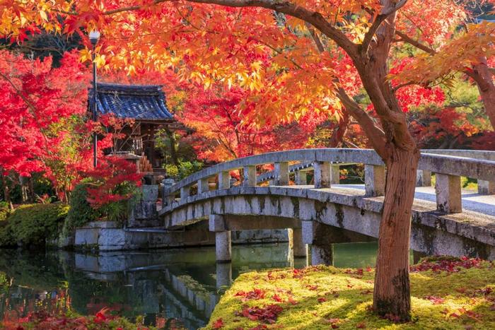 Du lịch Kyoto mùa thu - Chùa Eikando Zenrinji