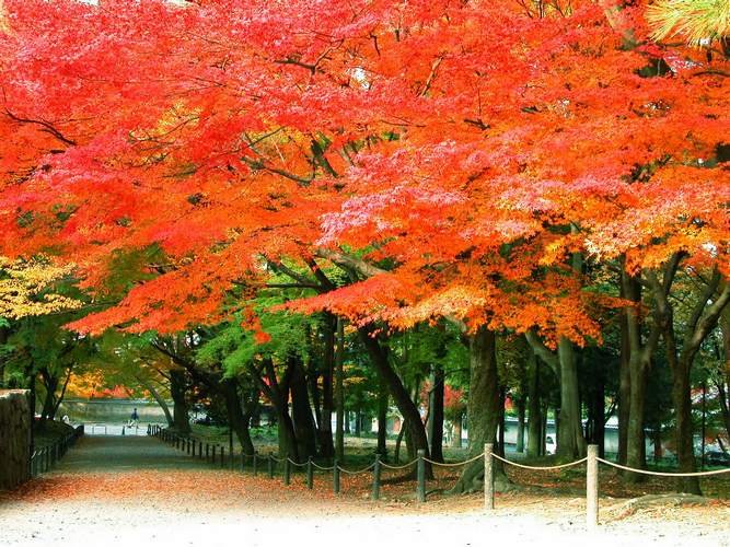 Du lịch Kyoto mùa thu - Đền Nanzenji