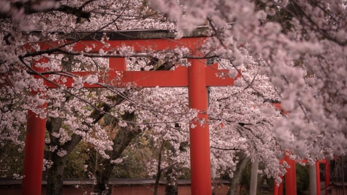 Du lịch Kyoto mùa xuân - Đền Takenaka Inari