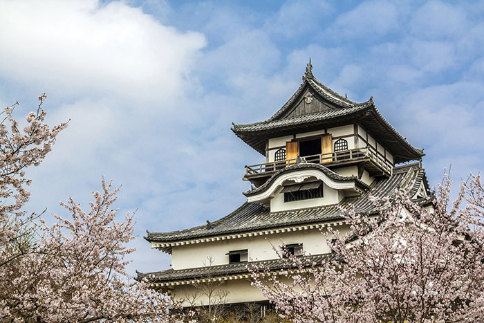 Lâu đài Inuyama - Lâu đài đã từng bị phá hủy toàn bộ do địa chấn.