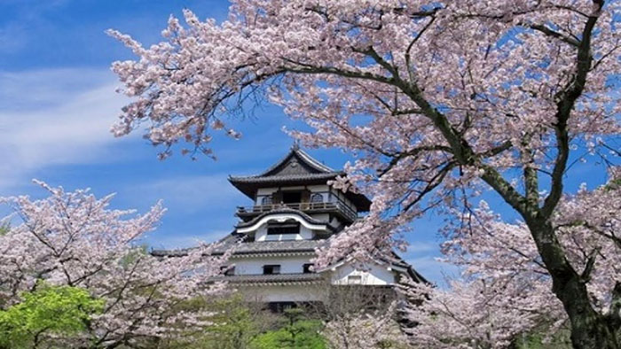 Lâu đài Inuyama - Vẻ đẹp của lâu đài là biểu tượng kiến trúc Nhật Bản thế kỷ XVI