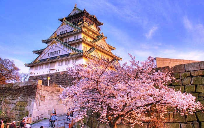 Khám phá lâu đài Nagoya Nhật Bản chi tiết nhất