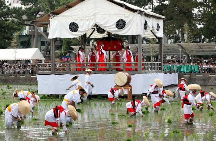 Lễ hội Sumiyoshi - Nghi lễ tại lễ hội