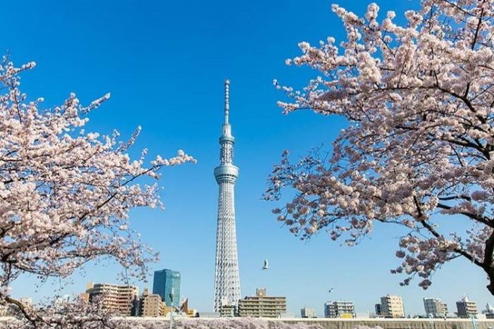 Tháp Tokyo Skytree: Tham quan tháp truyền hình vươn tầm thế giới