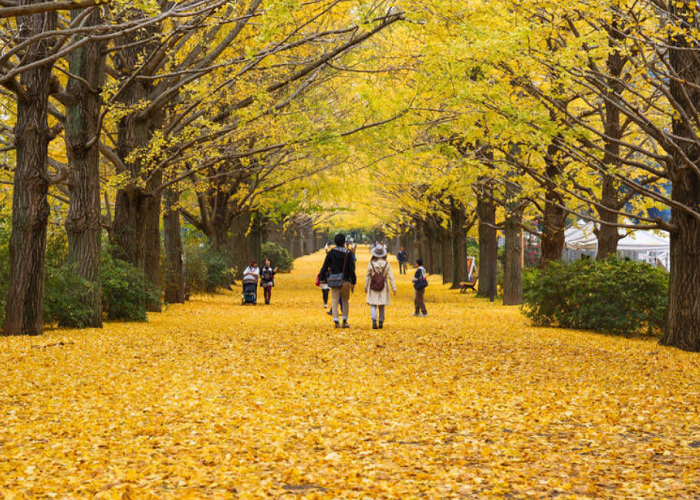 What to wear when traveling to Japan