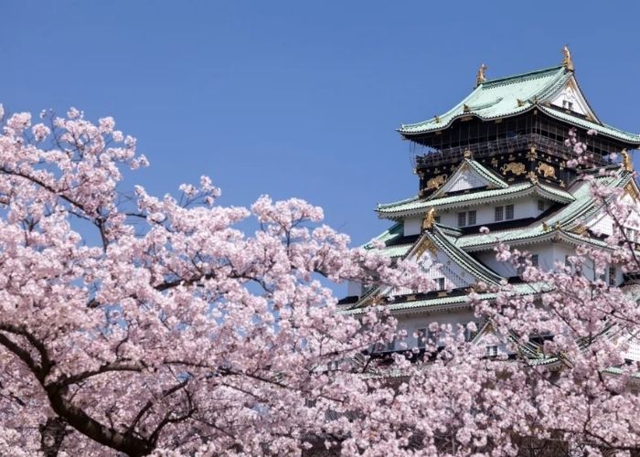 Vé tham quan lâu đài Osaka