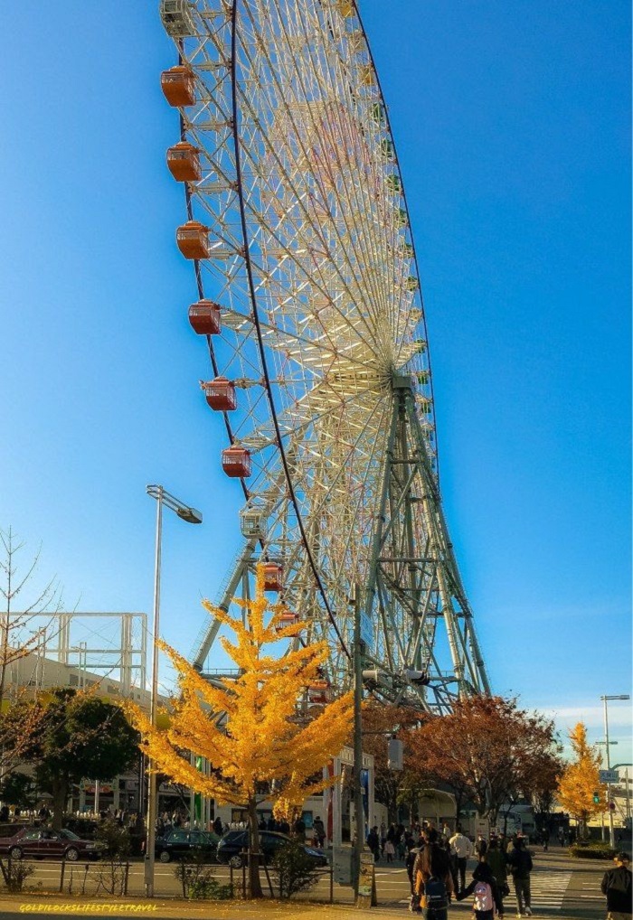 Vòng đu quay Tempozan, Osaka có gì