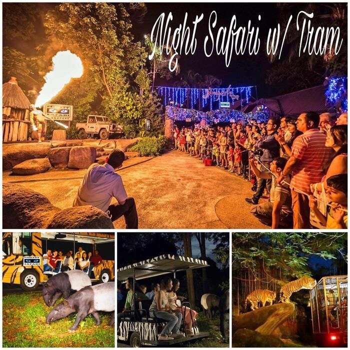 Khám phá vườn thú đêm Night Safari Singapore 