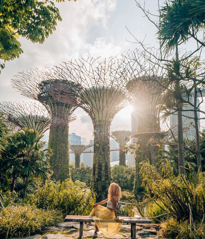 Công viên Gardens by the Bay, địa điểm du lịch Singapore tháng 1