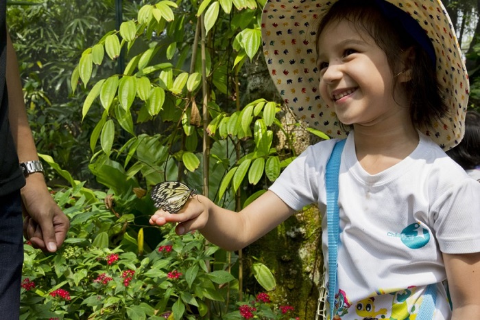 Butterfly Park and Insect Kingdom, địa điểm du lịch Sentosa