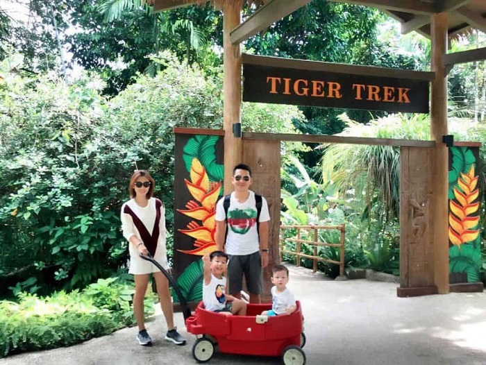 Kinh nghiệm du lịch Singapore có trẻ em - Kidz Ranger tour.