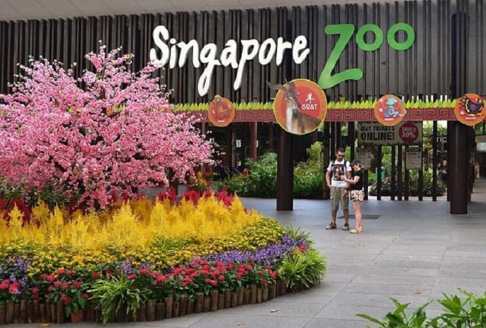 Kinh nghiệm du lịch Singapore có trẻ em -Sở thú Singapore