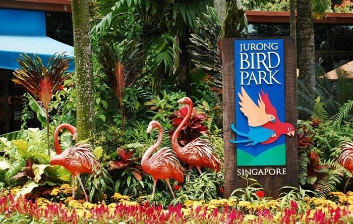 Giới thiệu về Jurong Bird Park, kinh nghiệm đi Jurong Bird Park