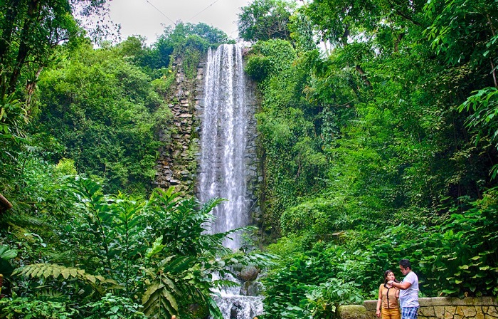 Hành trang đi Jurong Bird Park, kinh nghiệm đi Jurong Bird Park