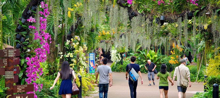 Hành trang đi Jurong Bird Park, kinh nghiệm đi Jurong Bird Park