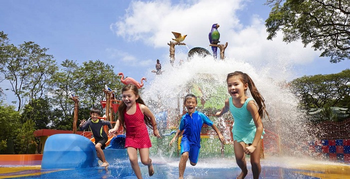 Vui chơi tại Jurong Bird Park, kinh nghiệm đi Jurong Bird Park