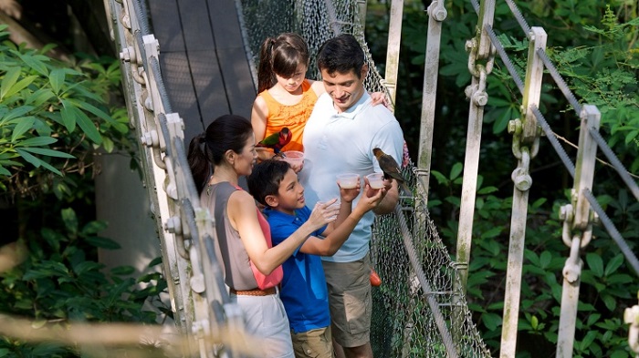 Giới thiệu về Jurong Bird Park, kinh nghiệm đi Jurong Bird Park