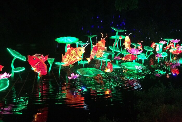 Lễ hội hoa đăng Singapore - Những chiếc đèn sặc sỡ hình chú cá ngoi lên mặt nước
