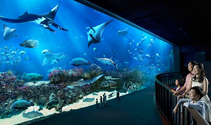 SEA Aquarium địa điểm du lịch Sentosa